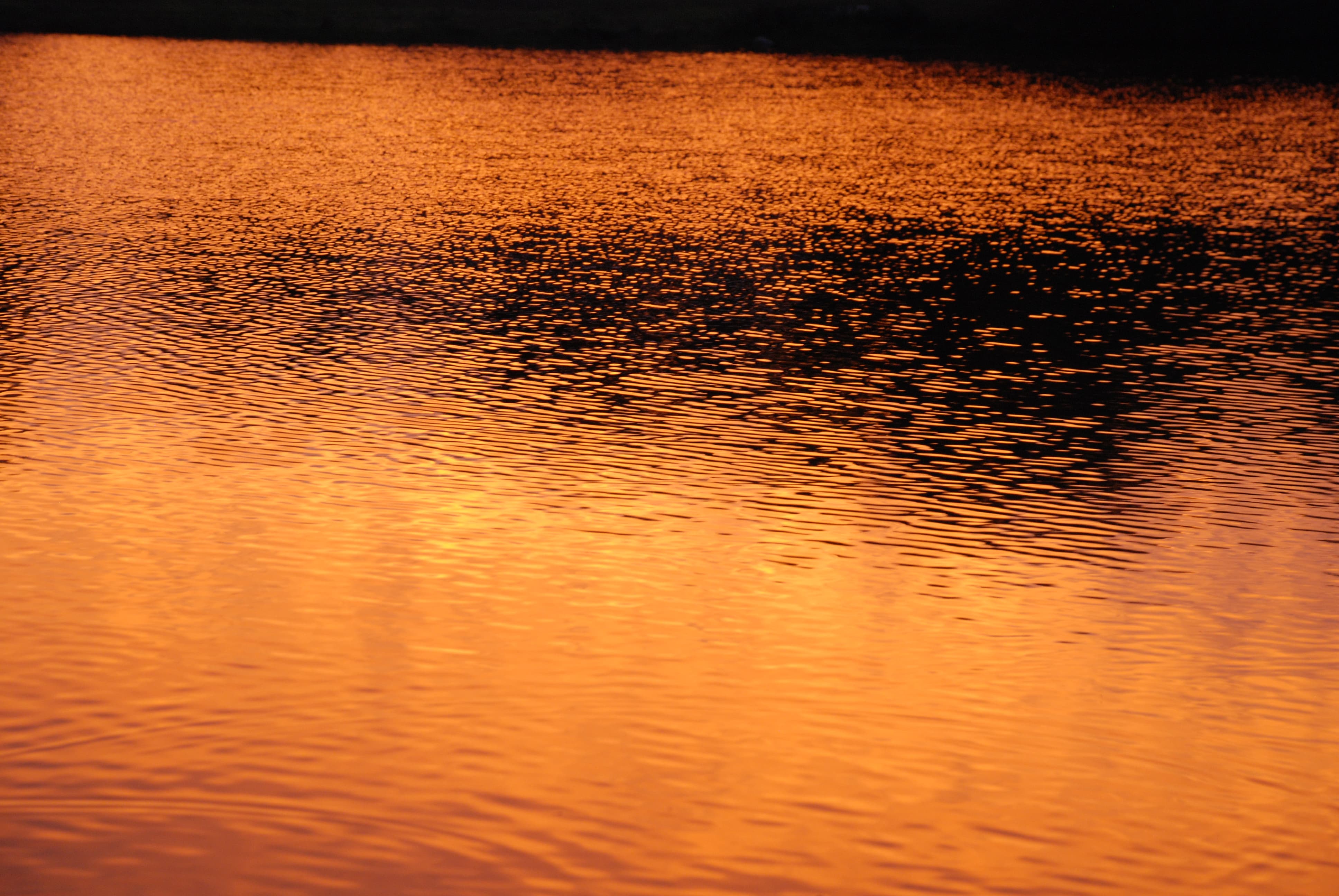 Golden Water